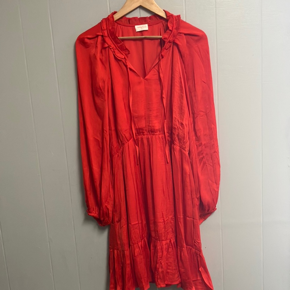Hailey & Co Dress Size Large Ruffle Accented NWOT Long Sleeve